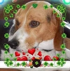 Meet your Posher, Mary ellen